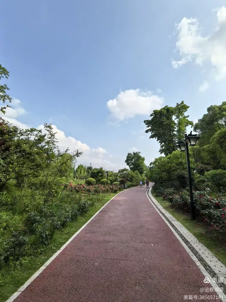 美丽的玉带河公园